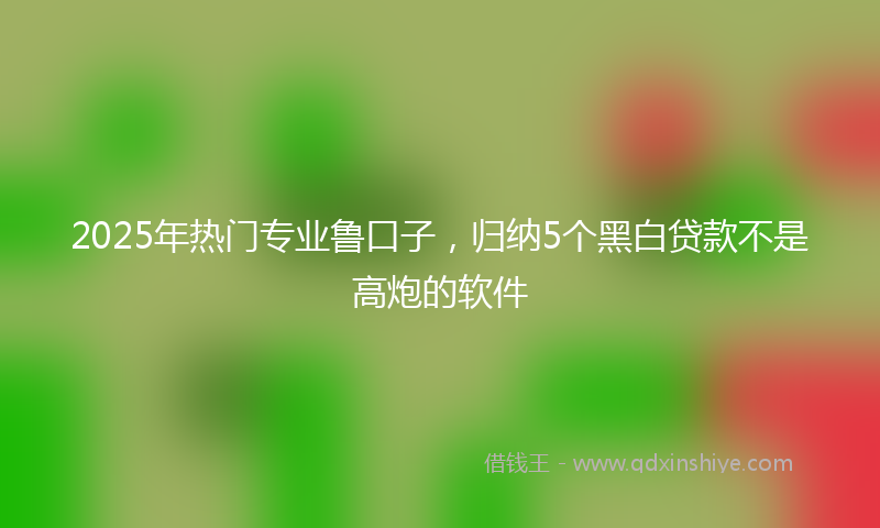 2025年热门专业鲁口子，归纳5个黑白贷款不是高炮的软件