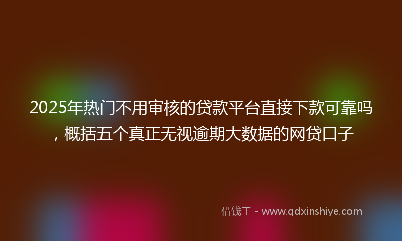 2025年热门不用审核的贷款平台直接下款可靠吗，概括五个真正无视逾期大数据的网贷口子