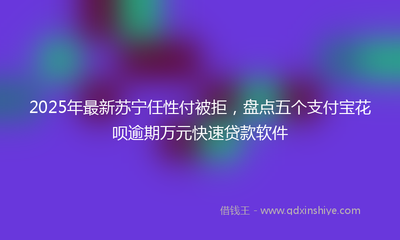 2025年最新苏宁任性付被拒，盘点五个支付宝花呗逾期万元快速贷款软件