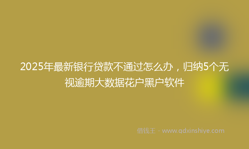 2025年最新银行贷款不通过怎么办,归纳5个无视逾期大数据花户黑户软件