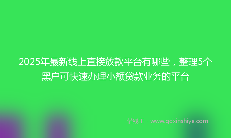 2025年最新线上直接放款平台有哪些，整理5个黑户可快速办理小额贷款业务的平台