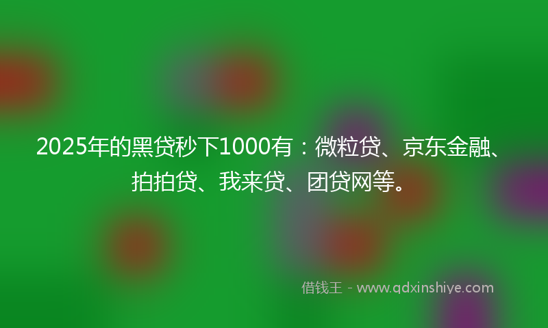 2025年的黑贷秒下1000有：微粒贷、京东金融、拍拍贷、我来贷、团贷网等。