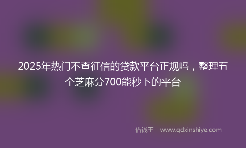 2025年热门不查征信的贷款平台正规吗，整理五个芝麻分700能秒下的平台