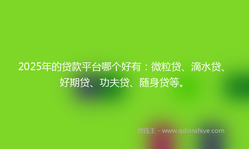 2025年的贷款平台哪个好有：微粒贷、滴水贷、好期贷、功夫贷、随身贷等。