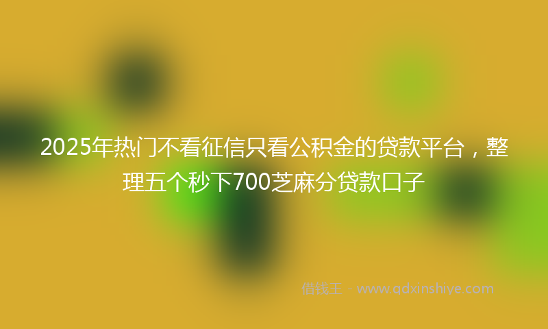 2025年热门不看征信只看公积金的贷款平台，整理五个秒下700芝麻分贷款口子