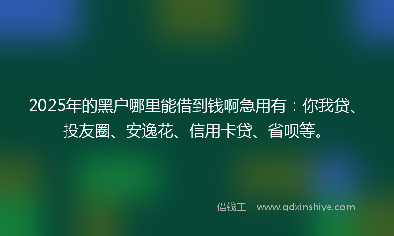 2025年的黑户哪里能借到钱啊急用有：你我贷、投友圈、安逸花、信用卡贷、省呗等。