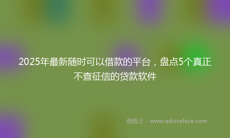 2025年最新随时可以借款的平台，盘点5个真正不查征信的贷款软件