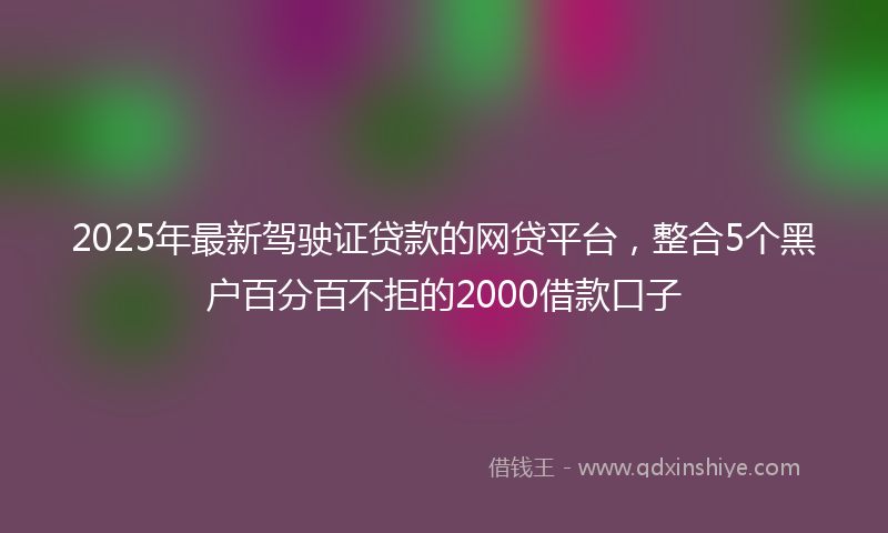 2025年最新驾驶证贷款的网贷平台,整合5个黑户百分百不拒的2000借款口子
