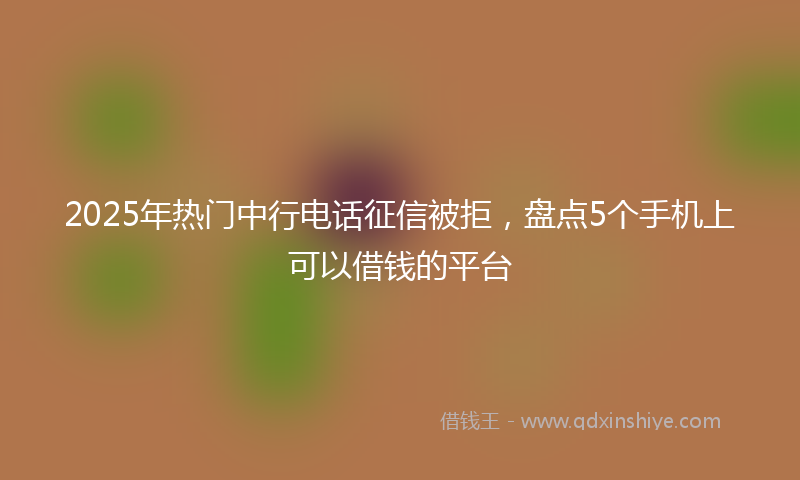 2025年热门中行电话征信被拒，盘点5个手机上可以借钱的平台