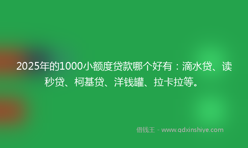 2025年的1000小额度贷款哪个好有：滴水贷、读秒贷、柯基贷、洋钱罐、拉卡拉等。