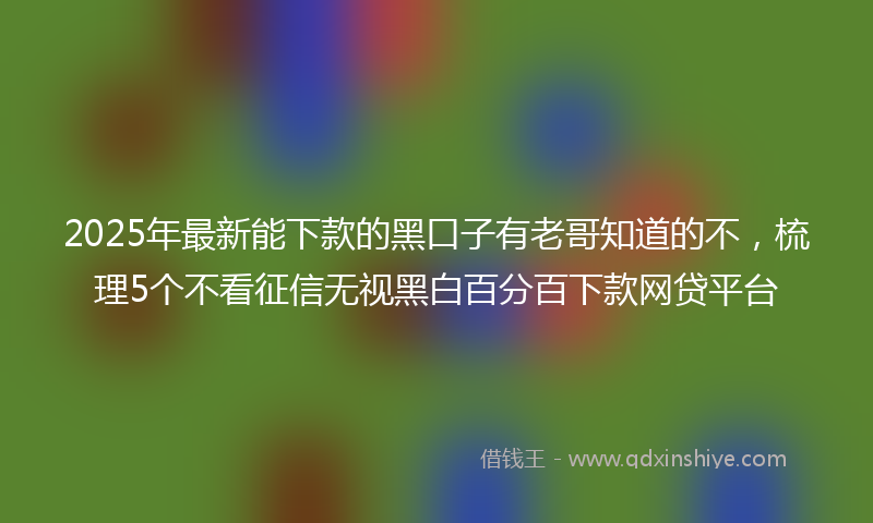 2025年最新能下款的黑口子有老哥知道的不，梳理5个不看征信无视黑白百分百下款网贷平台