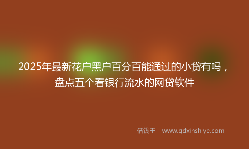 2025年最新花户黑户百分百能通过的小贷有吗，盘点五个看银行流水的网贷软件