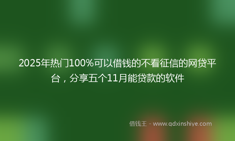 2025年热门100%可以借钱的不看征信的网贷平台，分享五个11月能贷款的软件