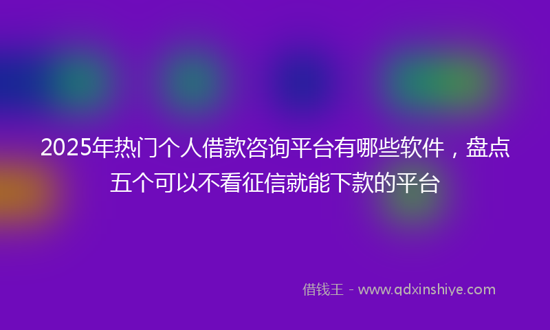 2025年热门个人借款咨询平台有哪些软件，盘点五个可以不看征信就能下款的平台