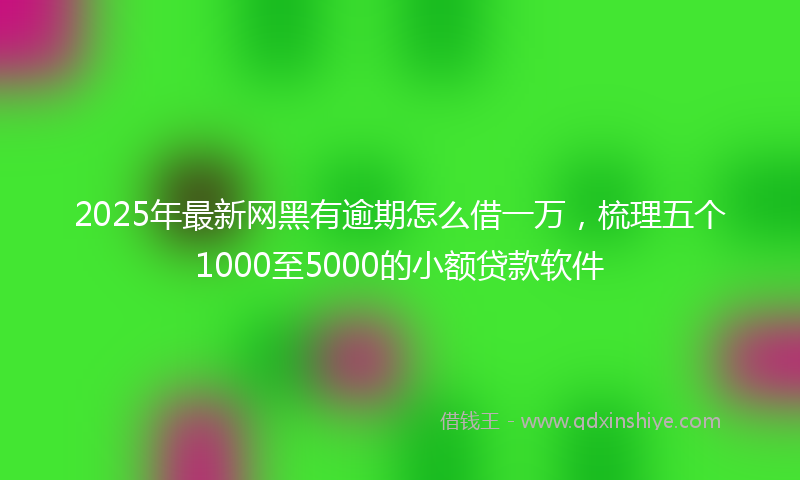 2025年最新网黑有逾期怎么借一万，梳理五个1000至5000的小额贷款软件