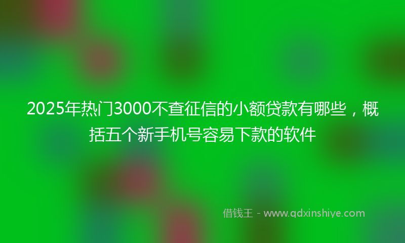 2025年热门3000不查征信的小额贷款有哪些，概括五个新手机号容易下款的软件