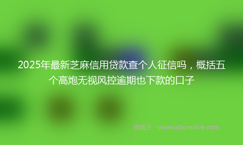 2025年最新芝麻信用贷款查个人征信吗，概括五个高炮无视风控逾期也下款的口子