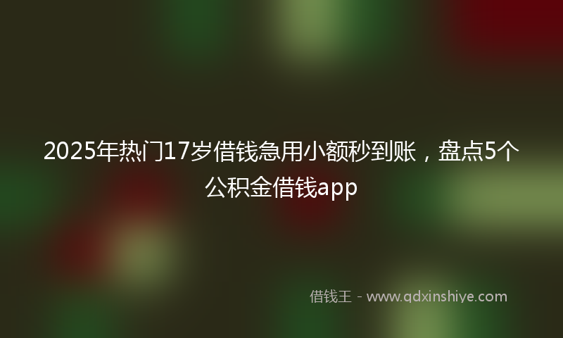 2025年热门17岁借钱急用小额秒到账，盘点5个公积金借钱app