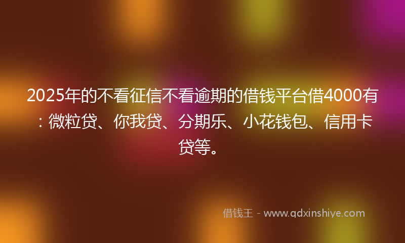2025年的不看征信不看逾期的借钱平台借4000有：微粒贷、你我贷、分期乐、小花钱包、信用卡贷等。