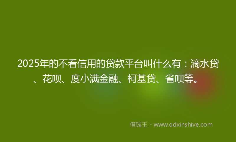 2025年的不看信用的贷款平台叫什么有：滴水贷、花呗、度小满金融、柯基贷、省呗等。