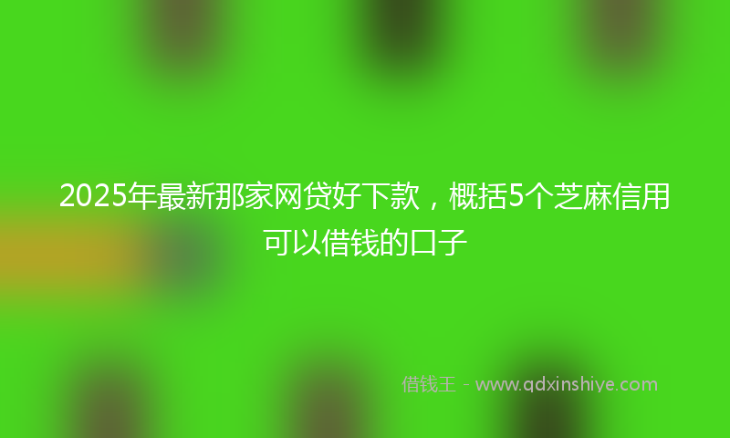 2025年最新那家网贷好下款,概括5个芝麻信用可以借钱的口子
