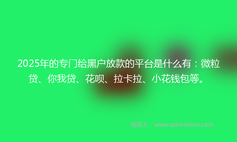 2025年的专门给黑户放款的平台是什么有：微粒贷、你我贷、花呗、拉卡拉、小花钱包等。