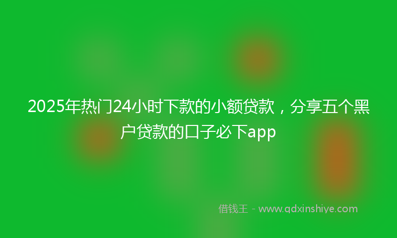 2025年热门24小时下款的小额贷款，分享五个黑户贷款的口子必下app