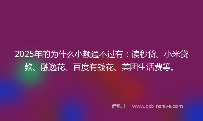 2025年的为什么小额通不过有：读秒贷、小米贷款、融逸花、百度有钱花、美团生活费等。