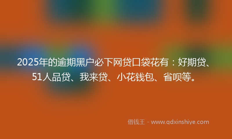2025年的逾期黑户必下网贷口袋花有：好期贷、51人品贷、我来贷、小花钱包、省呗等。