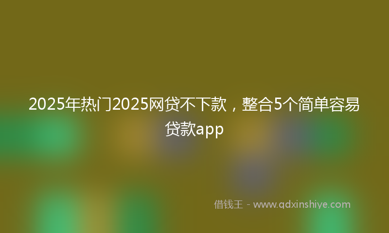 2025年热门2025网贷不下款，整合5个简单容易贷款app