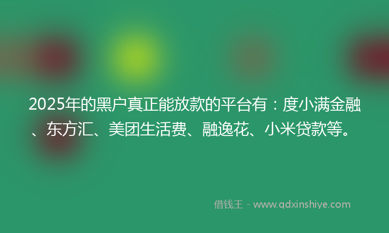 2025年的黑户真正能放款的平台有：度小满金融、东方汇、美团生活费、融逸花、小米贷款等。