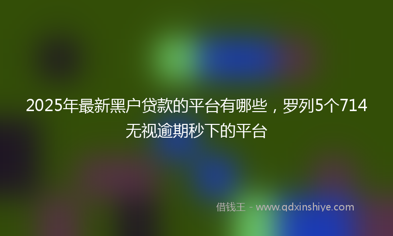2025年最新黑户贷款的平台有哪些，罗列5个714无视逾期秒下的平台