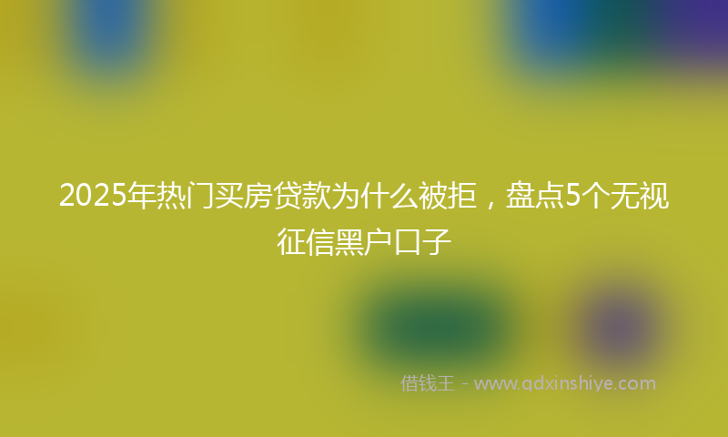 2025年热门买房贷款为什么被拒，盘点5个无视征信黑户口子