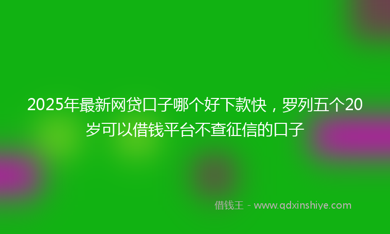 2025年最新网贷口子哪个好下款快，罗列五个20岁可以借钱平台不查征信的口子
