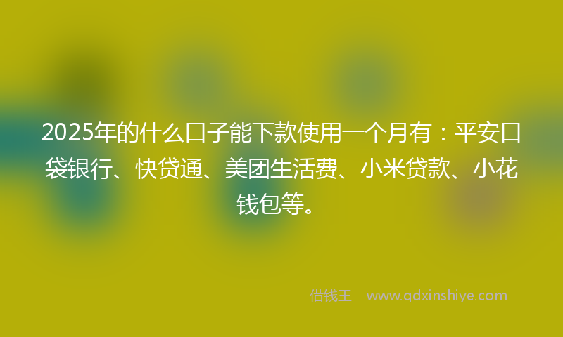 2025年的什么口子能下款使用一个月有：平安口袋银行、快贷通、美团生活费、小米贷款、小花钱包等。