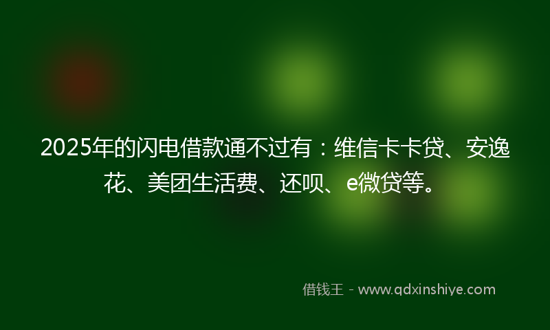 2025年的闪电借款通不过有：维信卡卡贷、安逸花、美团生活费、还呗、e微贷等。
