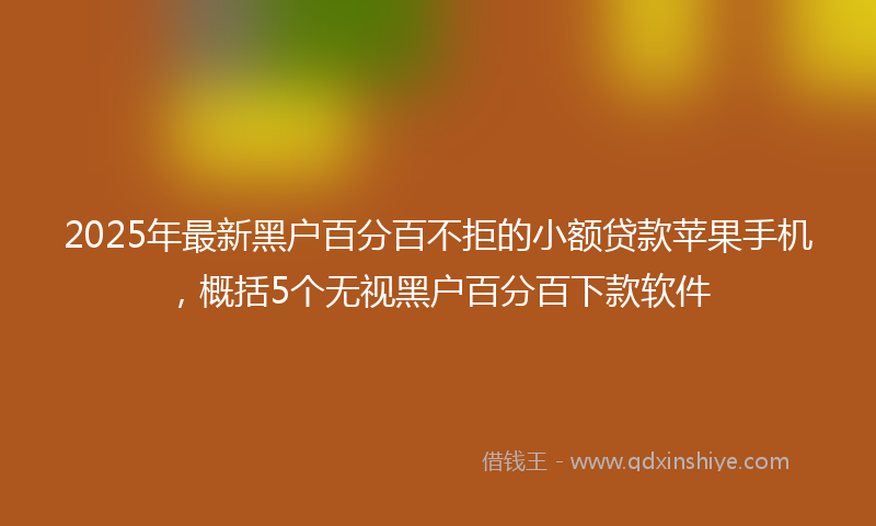 2025年最新黑户百分百不拒的小额贷款苹果手机，概括5个无视黑户百分百下款软件