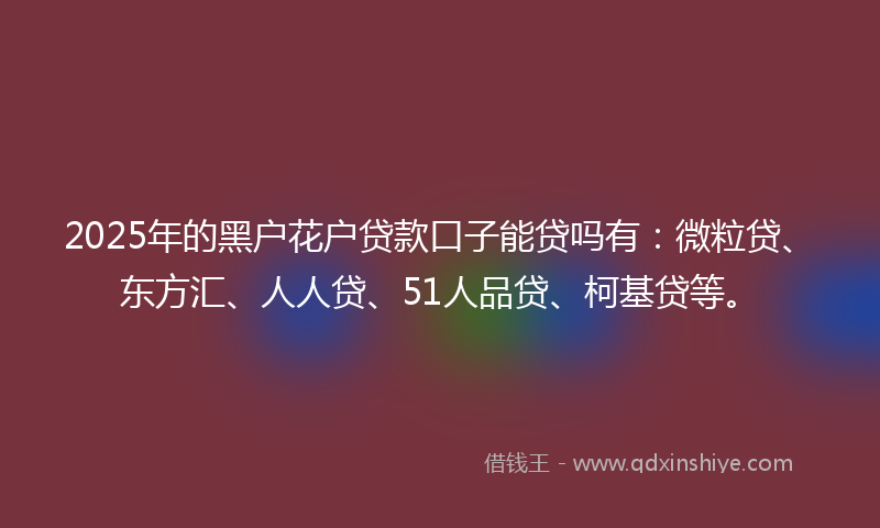 2025年的黑户花户贷款口子能贷吗有：微粒贷、东方汇、人人贷、51人品贷、柯基贷等。