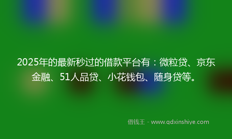 2025年的最新秒过的借款平台有：微粒贷、京东金融、51人品贷、小花钱包、随身贷等。