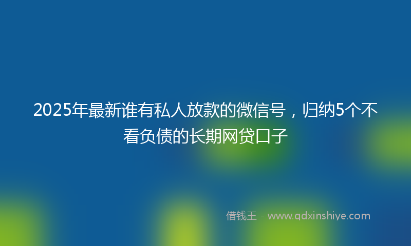 2025年最新谁有私人放款的微信号，归纳5个不看负债的长期网贷口子