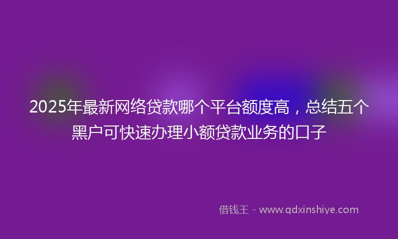 2025年最新网络贷款哪个平台额度高，总结五个黑户可快速办理小额贷款业务的口子