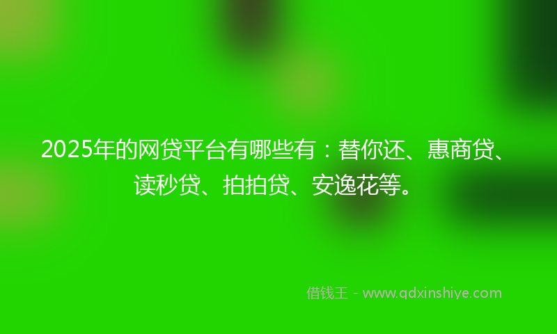 2025年的网贷平台有哪些有：替你还、惠商贷、读秒贷、拍拍贷、安逸花等。
