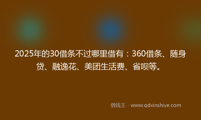 2025年的30借条不过哪里借有：360借条、随身贷、融逸花、美团生活费、省呗等。