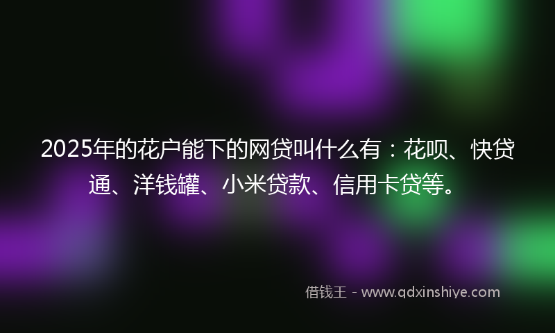 2025年的花户能下的网贷叫什么有：花呗、快贷通、洋钱罐、小米贷款、信用卡贷等。
