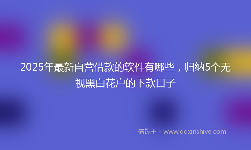 2025年最新自营借款的软件有哪些，归纳5个无视黑白花户的下款口子