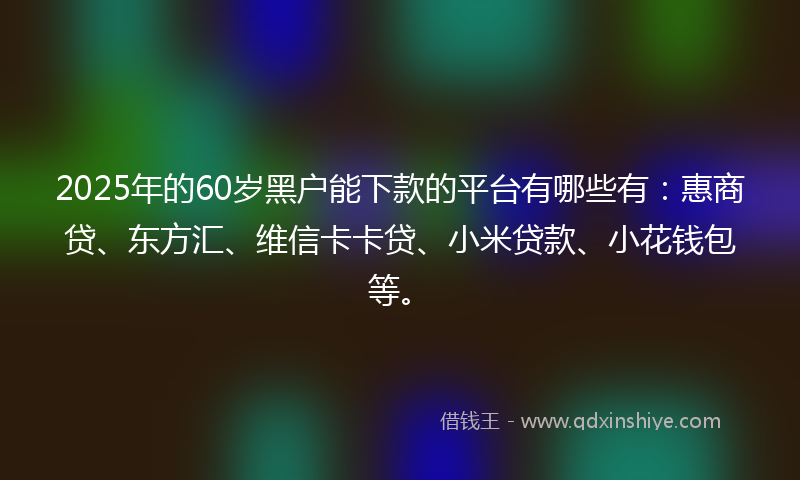2025年的60岁黑户能下款的平台有哪些有：惠商贷、东方汇、维信卡卡贷、小米贷款、小花钱包等。