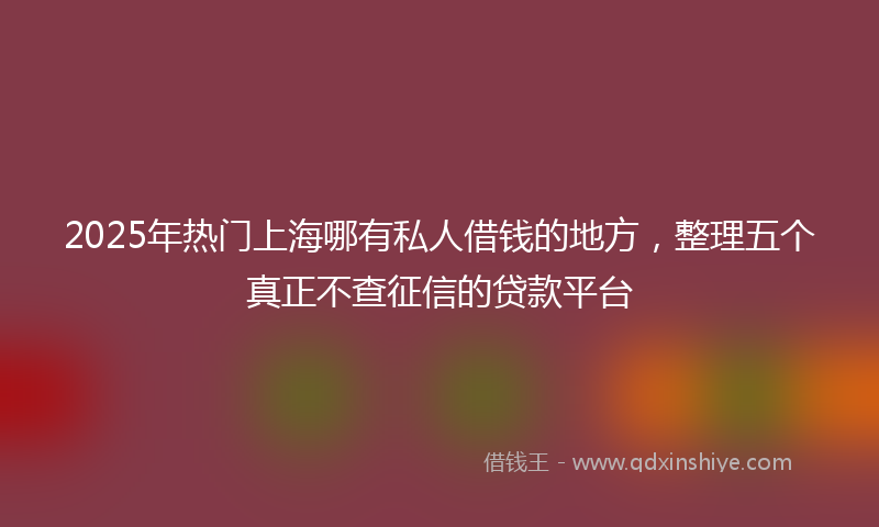 2025年热门上海哪有私人借钱的地方，整理五个真正不查征信的贷款平台