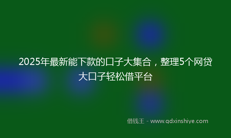 2025年最新能下款的口子大集合，整理5个网贷大口子轻松借平台