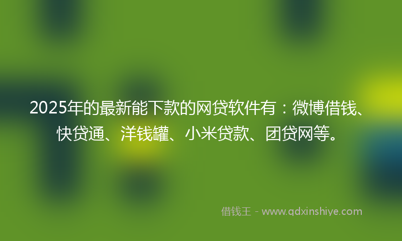 2025年的最新能下款的网贷软件有：微博借钱、快贷通、洋钱罐、小米贷款、团贷网等。