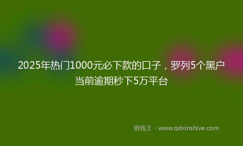 2025年热门1000元必下款的口子，罗列5个黑户当前逾期秒下5万平台
